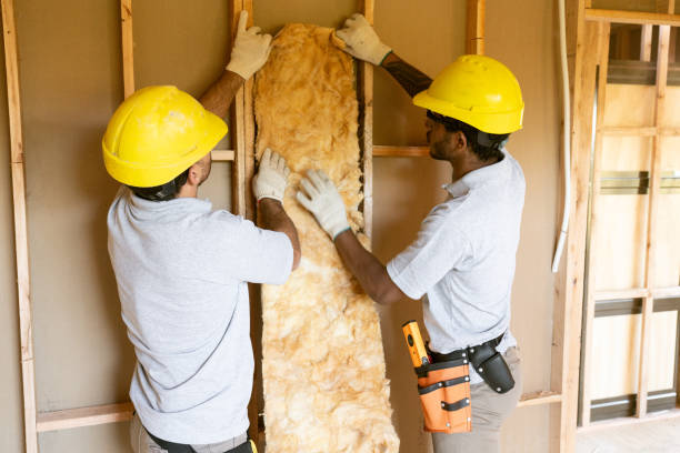 Best Insulation Contractor Near Me  in South Bay, FL